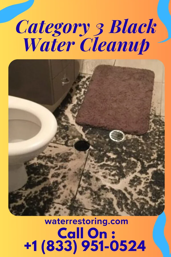 Category 3 Black Water Cleanup in Summit, SC
