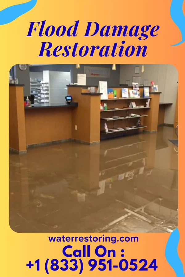 Flood Damage Restoration in Summit, SC