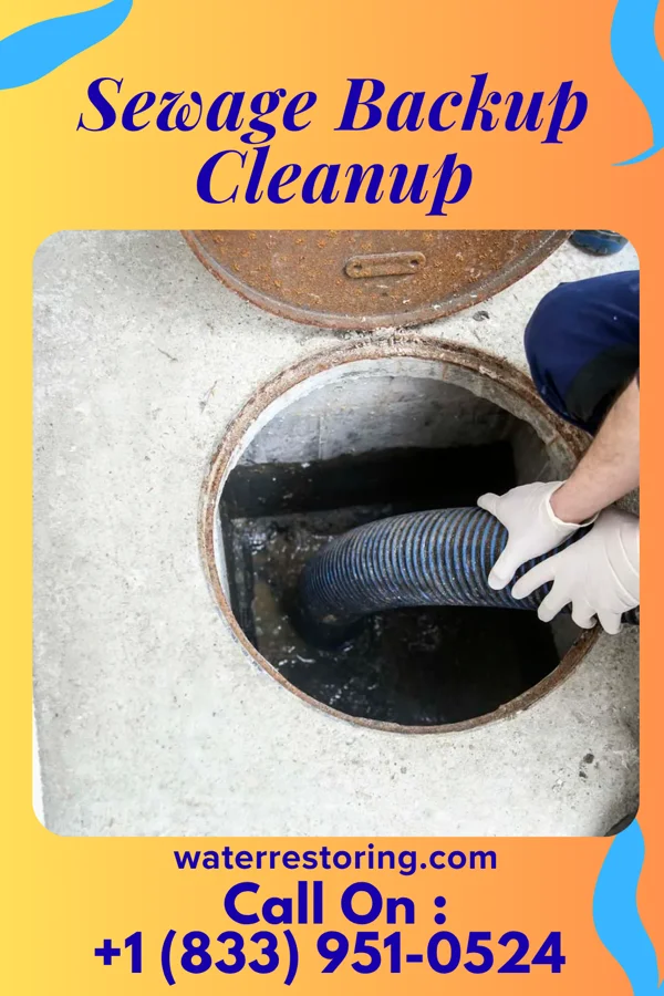 Sewage Backup Cleanup in Summit, SC