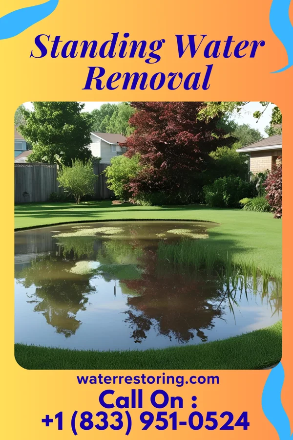 Standing Water Removal in Summit, SC